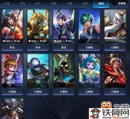 王者皮肤图片爆料最新版,惊艳亮相，视觉盛宴即将开启！